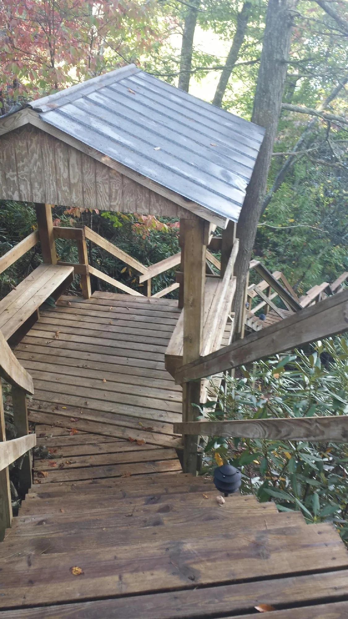 Metal roofed shelter over wooden steps on a wooded walkway in New Johnsonville