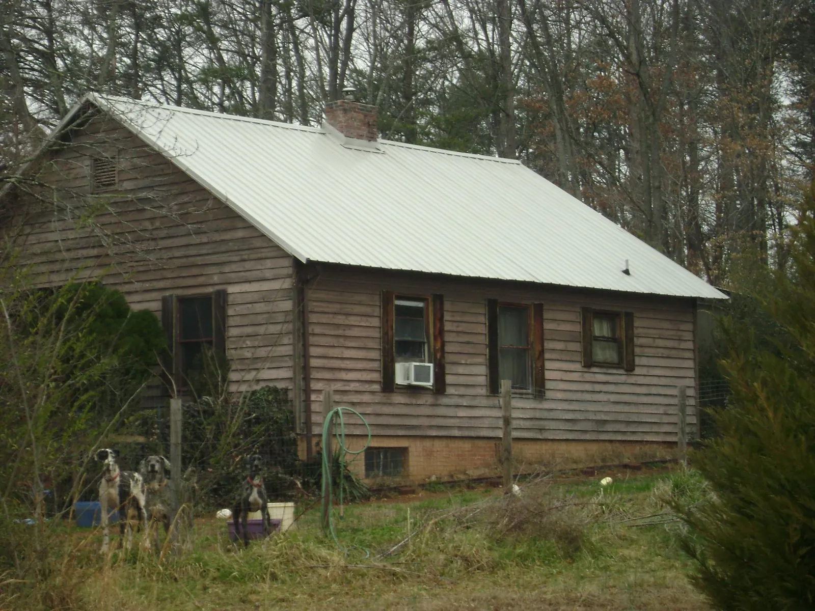 White metal roof on an old wood sided farmhouse, from a Asphalt Shingle Roof Repair job in New Johnsonville